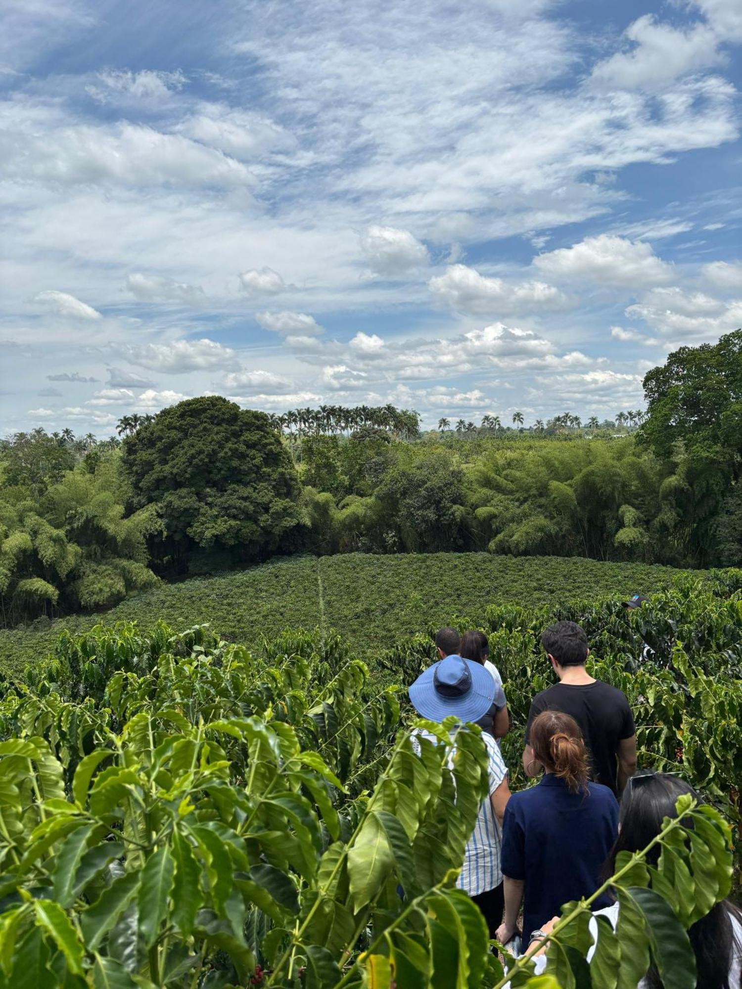 Hacienda Bambusa El Caimo Ngoại thất bức ảnh
