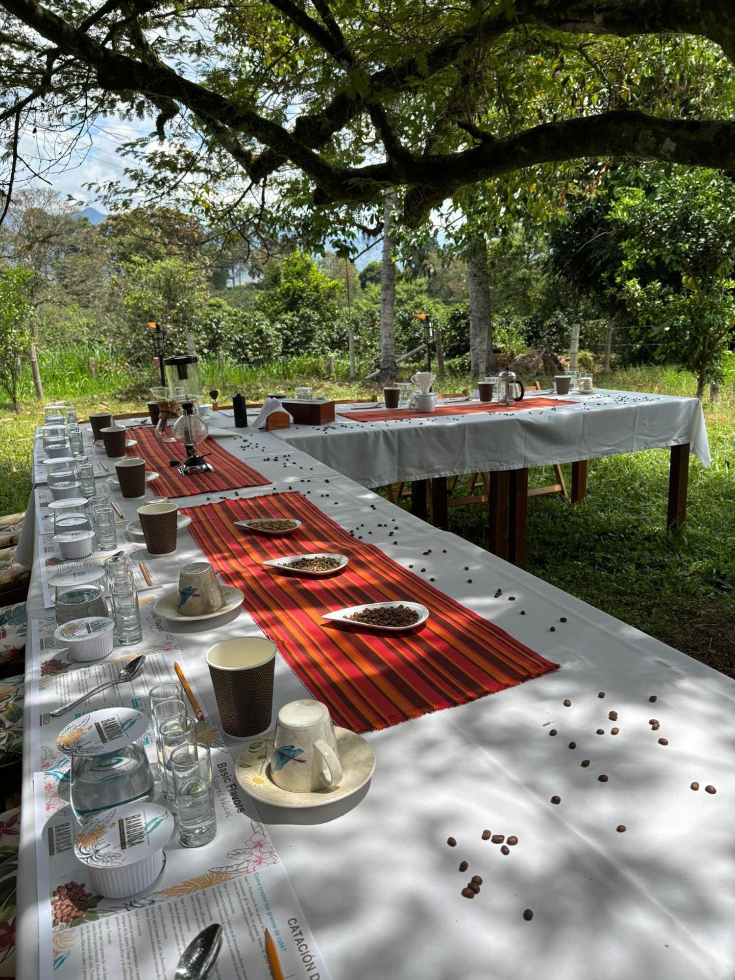 Hacienda Bambusa El Caimo Ngoại thất bức ảnh