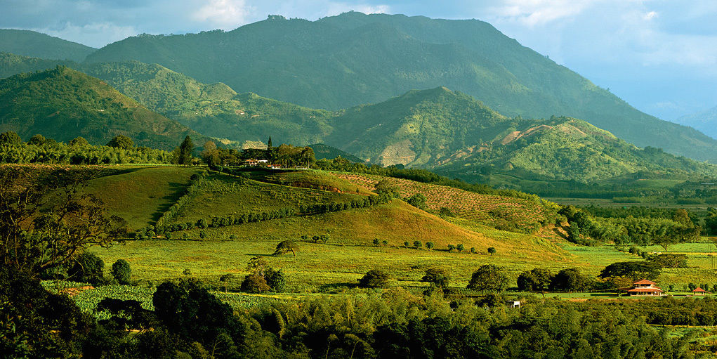 Hacienda Bambusa El Caimo Ngoại thất bức ảnh
