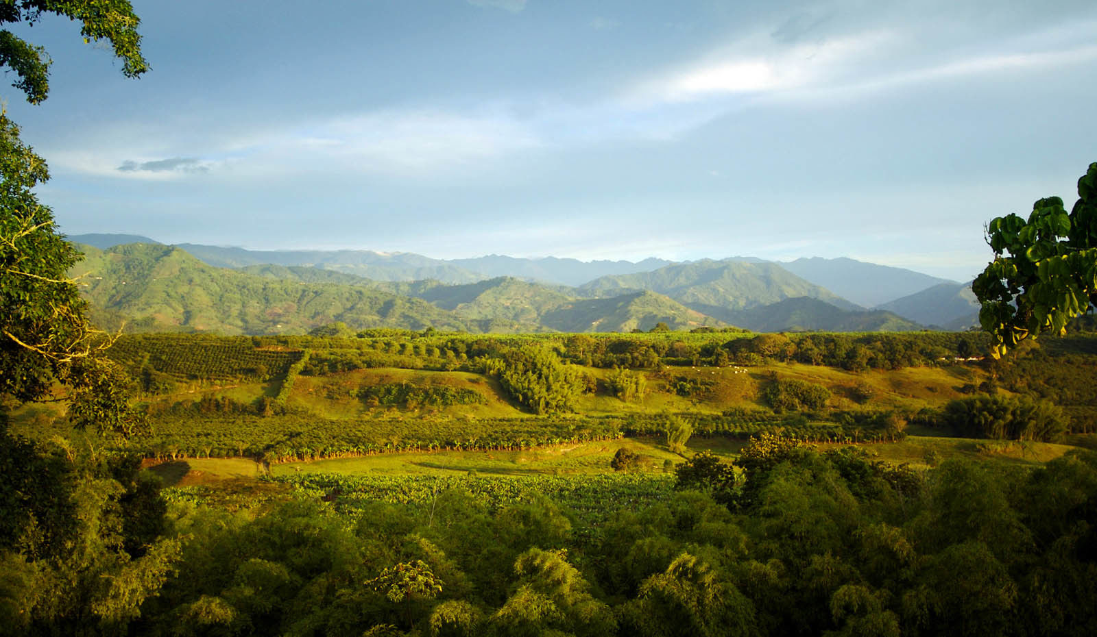 Hacienda Bambusa El Caimo Ngoại thất bức ảnh