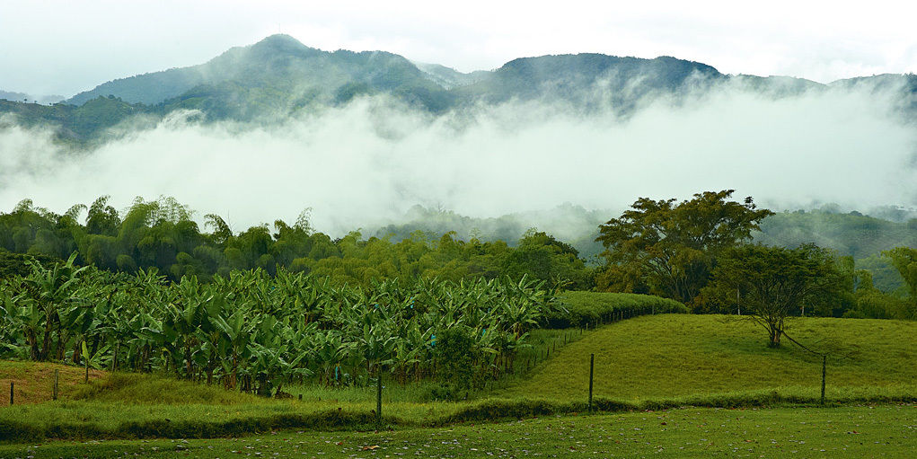 Hacienda Bambusa El Caimo Ngoại thất bức ảnh